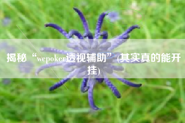 揭秘“wepoker透视辅助”(其实真的能开挂)