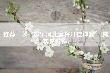 推荐一款“微乐河北麻将开挂神器”(其实是有挂)