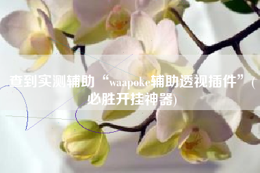 查到实测辅助“waapoke辅助透视插件	”(必胜开挂神器)