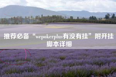 推荐必备“wepokerplus有没有挂”附开挂脚本详细
