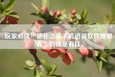 玩家必读“德扑之星手机透视软件哪里有	”的确是有挂