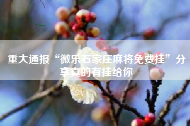 重大通报“微乐石家庄麻将免费挂”分享真的有挂给你