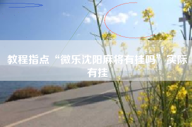 教程指点“微乐沈阳麻将有挂吗	”实际有挂