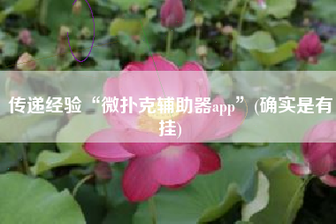 传递经验“微扑克辅助器app	”(确实是有挂)