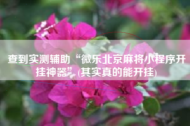 查到实测辅助“微乐北京麻将小程序开挂神器	”(其实真的能开挂)