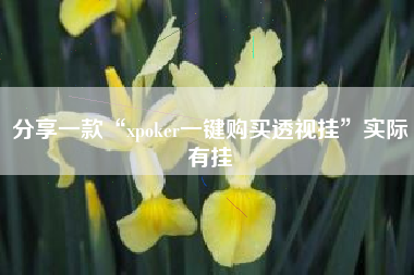 分享一款“xpoker一键购买透视挂”实际有挂