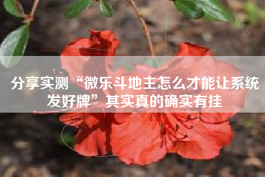 分享实测“微乐斗地主怎么才能让系统发好牌”其实真的确实有挂