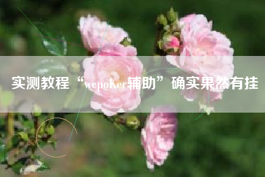 实测教程“wepoKer辅助	”确实果然有挂