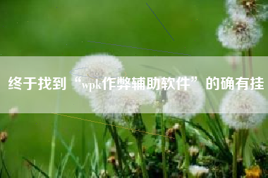 终于找到“wpk作弊辅助软件	”的确有挂