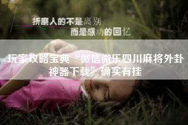 玩家攻略宝典“微信微乐四川麻将外卦神器下载	”确实有挂