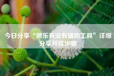 今日分享“微乐有没有辅助工具”详细分享开挂步骤