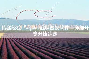传递经验“wepoker底牌透视软件”详细分享开挂步骤