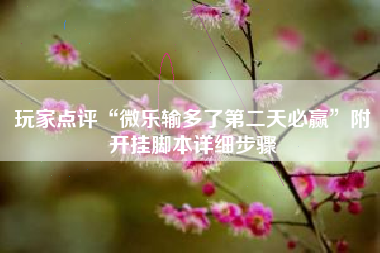 玩家点评“微乐输多了第二天必赢”附开挂脚本详细步骤