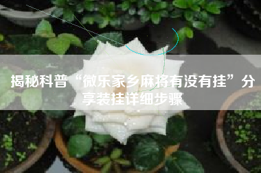 揭秘科普“微乐家乡麻将有没有挂”分享装挂详细步骤