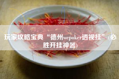玩家攻略宝典“德州wepoker透视挂”(必胜开挂神器)