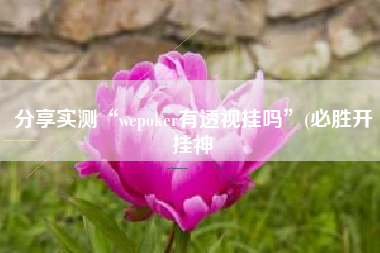 分享实测“wepoker有透视挂吗”(必胜开挂神
