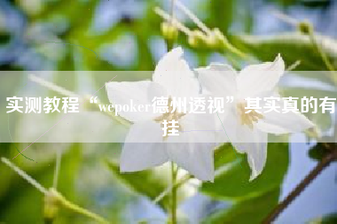 实测教程“wepoker德州透视	”其实真的有挂