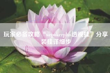玩家必备攻略“wepokerplus透视挂	”分享装挂详细步