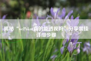 揭秘“wePoker真的能透视吗”分享装挂详细步骤