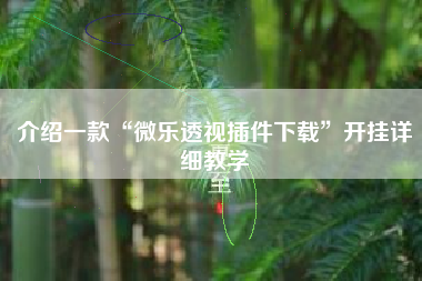 介绍一款“微乐透视插件下载”开挂详细教学