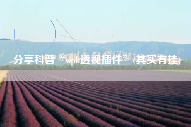 分享科普“wpk透视插件”(其实有挂)