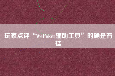 玩家点评“WePoker辅助工具	”的确是有挂