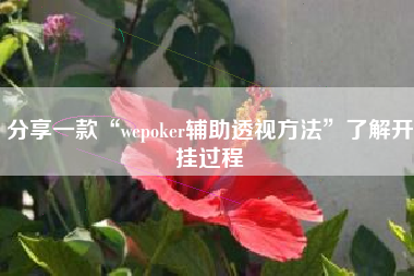 分享一款“wepoker辅助透视方法	”了解开挂过程