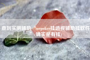 查到实测辅助“wepoker挂透视辅助挂软件	”(确实是有挂)