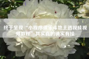 终于呈现“小程序微乐斗地主透视挂视频教程”其实真的确实有挂