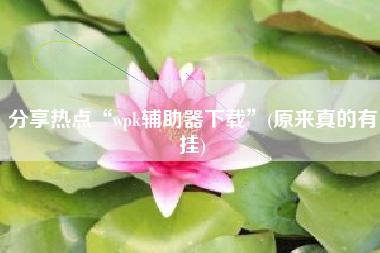 分享热点“wpk辅助器下载	”(原来真的有挂)