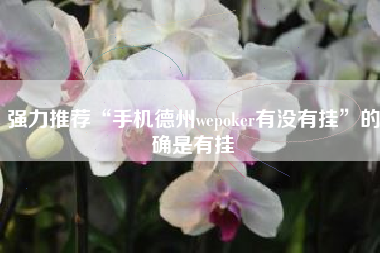 强力推荐“手机德州wepoker有没有挂”的确是有挂