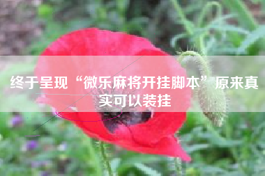 终于呈现“微乐麻将开挂脚本	”原来真实可以装挂