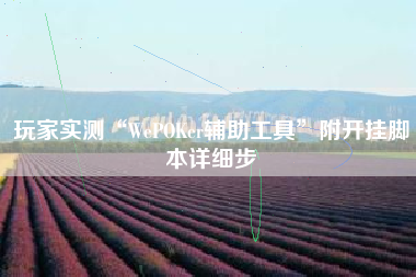 玩家实测“WePOKer辅助工具”附开挂脚本详细步