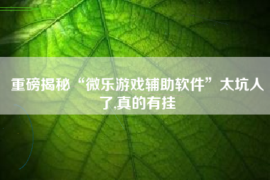 重磅揭秘“微乐游戏辅助软件	”太坑人了,真的有挂
