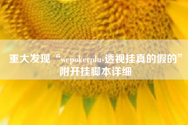 重大发现“wepokerplus透视挂真的假的	”附开挂脚本详细