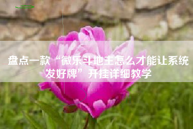 盘点一款“微乐斗地主怎么才能让系统发好牌”开挂详细教学