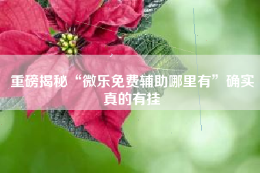 重磅揭秘“微乐免费辅助哪里有”确实真的有挂