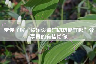 带你了解“微乐设置辅助功能在哪	”分享真的有挂给你