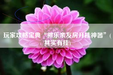 玩家攻略宝典“微乐亲友房开挂神器”(其实有挂)