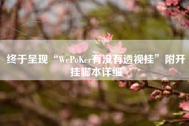 终于呈现“WePoKer有没有透视挂”附开挂脚本详细