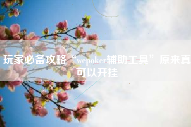 玩家必备攻略“wepoker辅助工具”原来真可以开挂
