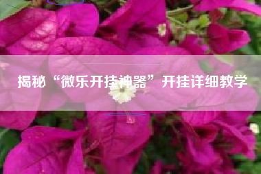 揭秘“微乐开挂神器	”开挂详细教学