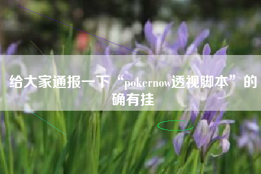 给大家通报一下“pokernow透视脚本”的确有挂
