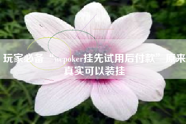 玩家必备“wepoker挂先试用后付款”原来真实可以装挂
