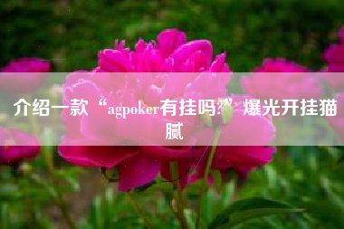 介绍一款“agpoker有挂吗?	”爆光开挂猫腻