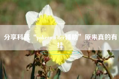 分享科普“pokermaster辅助”原来真的有挂