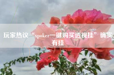 玩家热议“xpoker一键购买透视挂”确实有挂