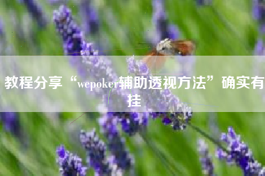 教程分享“wepoker辅助透视方法	”确实有挂