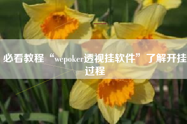 必看教程“wepoker透视挂软件	”了解开挂过程