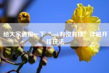 给大家通报一下“wpk有没有挂”详细开挂玩法